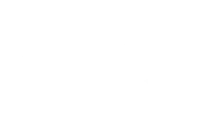 UEFA Champions League Partner Logo